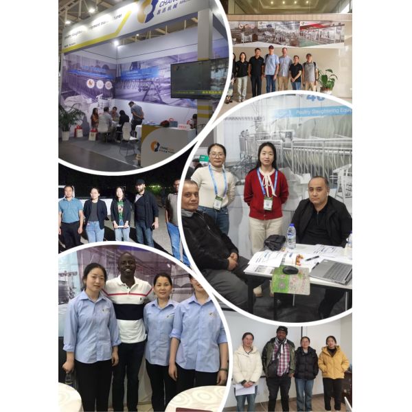 Halal Certified High Efficiency Turnkey Poultry Processing Line for 1000 Birds Per Hour