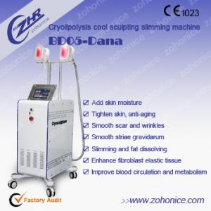 Quality Fat Freezing Cryolipolysis Slimming Machine Beauty Salon Use With 2 Big Handles for sale