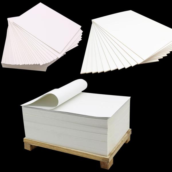 Offset Printing Compatible C2S Art Paper Ivory for Packaging
