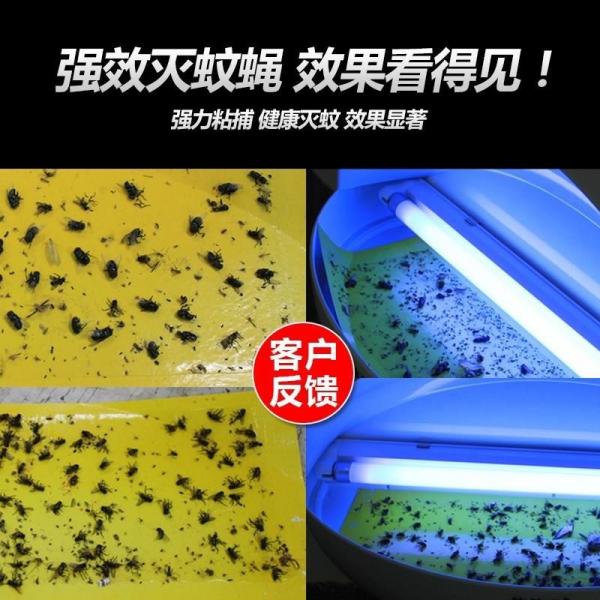 ABS Plastic Wall Mounted Design Highly Effeective Insect Glue Trap Lamp Environmental Mosquito Fly Bug Adhesive Zapper