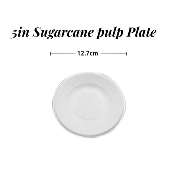 US Biodegradable Sugarcane Bagasse Tableware Plate Carry-out Tableware Multi Color