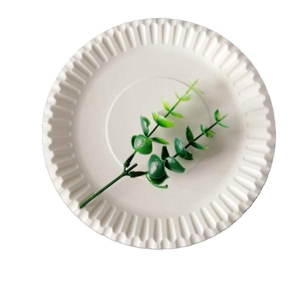 Customized Request Biodegradable Sugarcane Pulp Paper Plate for Camping or Wedding