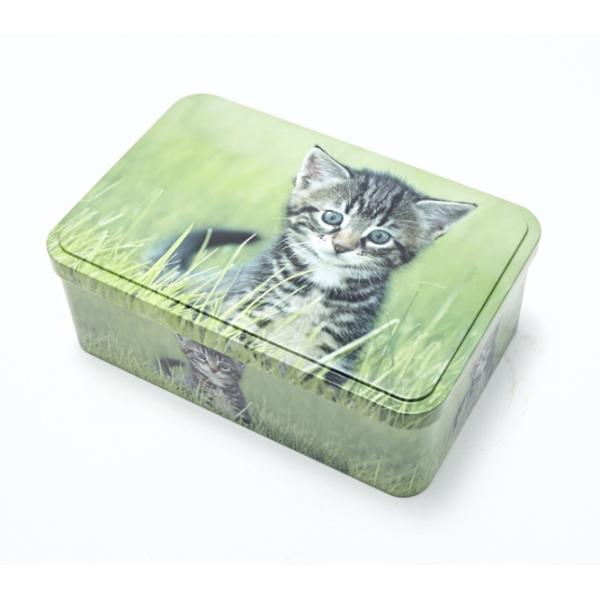 CMYK EN71 Rectangle Biscuit Tin Box With Logo Printed
