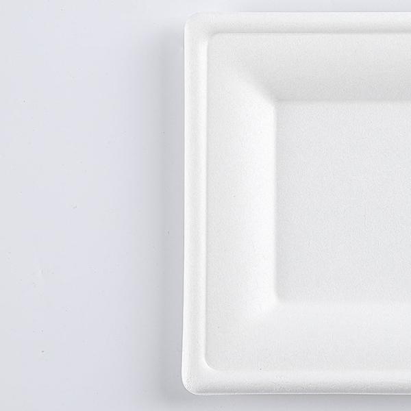 Disposable Dinnerware Set, Compostable Plant Based Cutlery Eco-Friendly Tableware