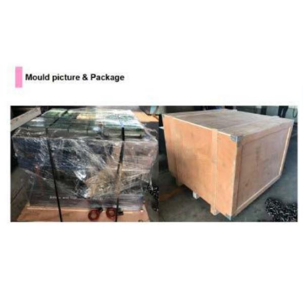 All Plastic Product's Mould Pallet Garbage Bin Mould Crate Plastic