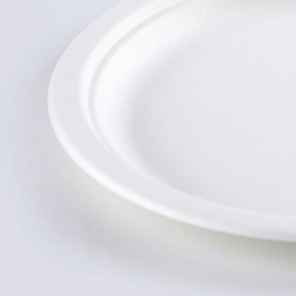 wholesale biodegradable sugarcane tableware disposable bagasse compostable paper 10 inch plates manufacturer