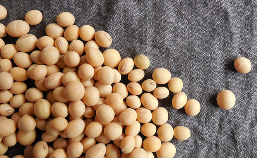 Custom Double Wall Hollow Structure Biodegradable Paper Coffee Cups With Food Grade PE Coating