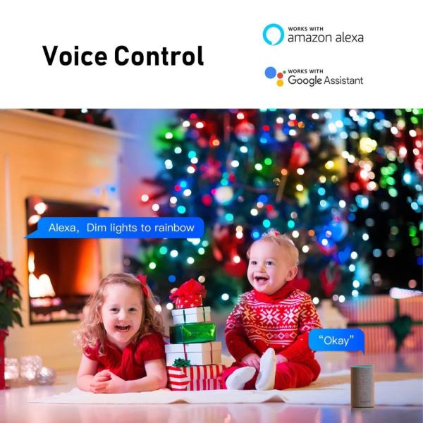 Bluetooth WiFi Solar Decorative Lights 5m 10m Colorful Globe Lights