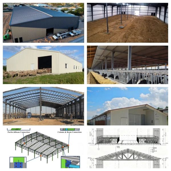 Durable Steel Structure Construction Building with ISO Certification