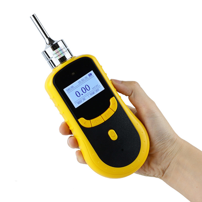 SKY2000 Portable Pumping CO Gas Detector with IP66 Protection and Optional Data Logging