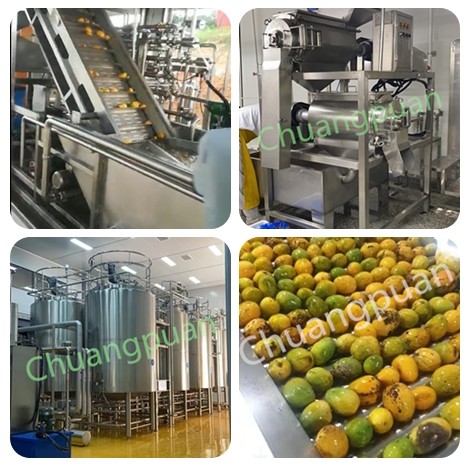 Concentrated Mango Processing Equipment Stainless Steel