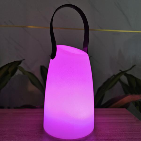 Plastic Portable LED Lamp Wireless Remote Control For Garden