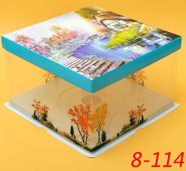 Disposable Clear/transparent Sandwich/cake Plastic Food Container/box/packaging,cheap cake boxes with clear window,custo