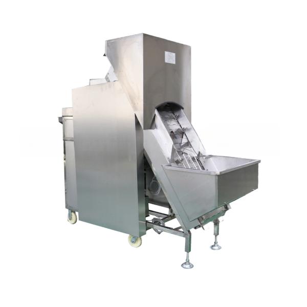 Advanced Onion Garlic Peeling Machine for Processing Types Vegetable Process Equipment