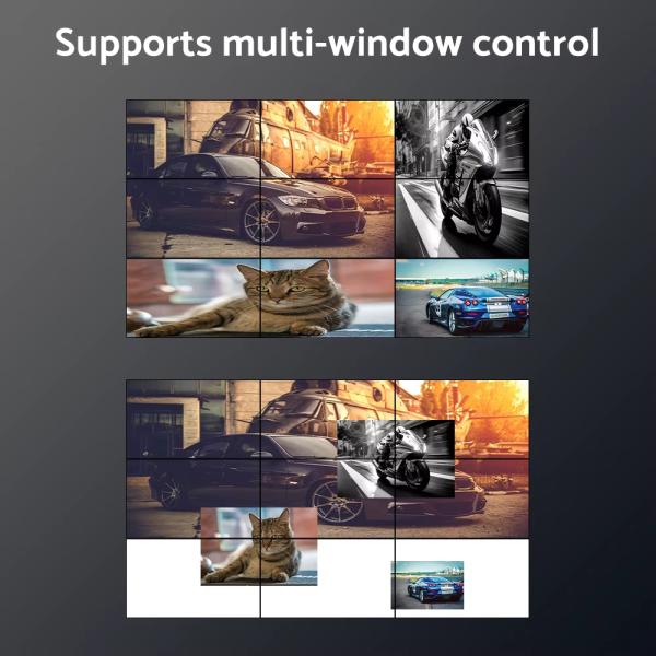 BITVISUS Video Processor Feature 11