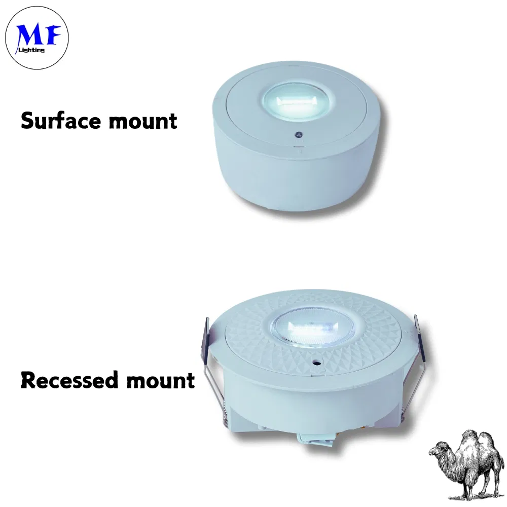 Panel Down Light LED Panic Emergency Escape Exit Sign Light IP65 Battery Backup Rechargeable Public School Hospital White