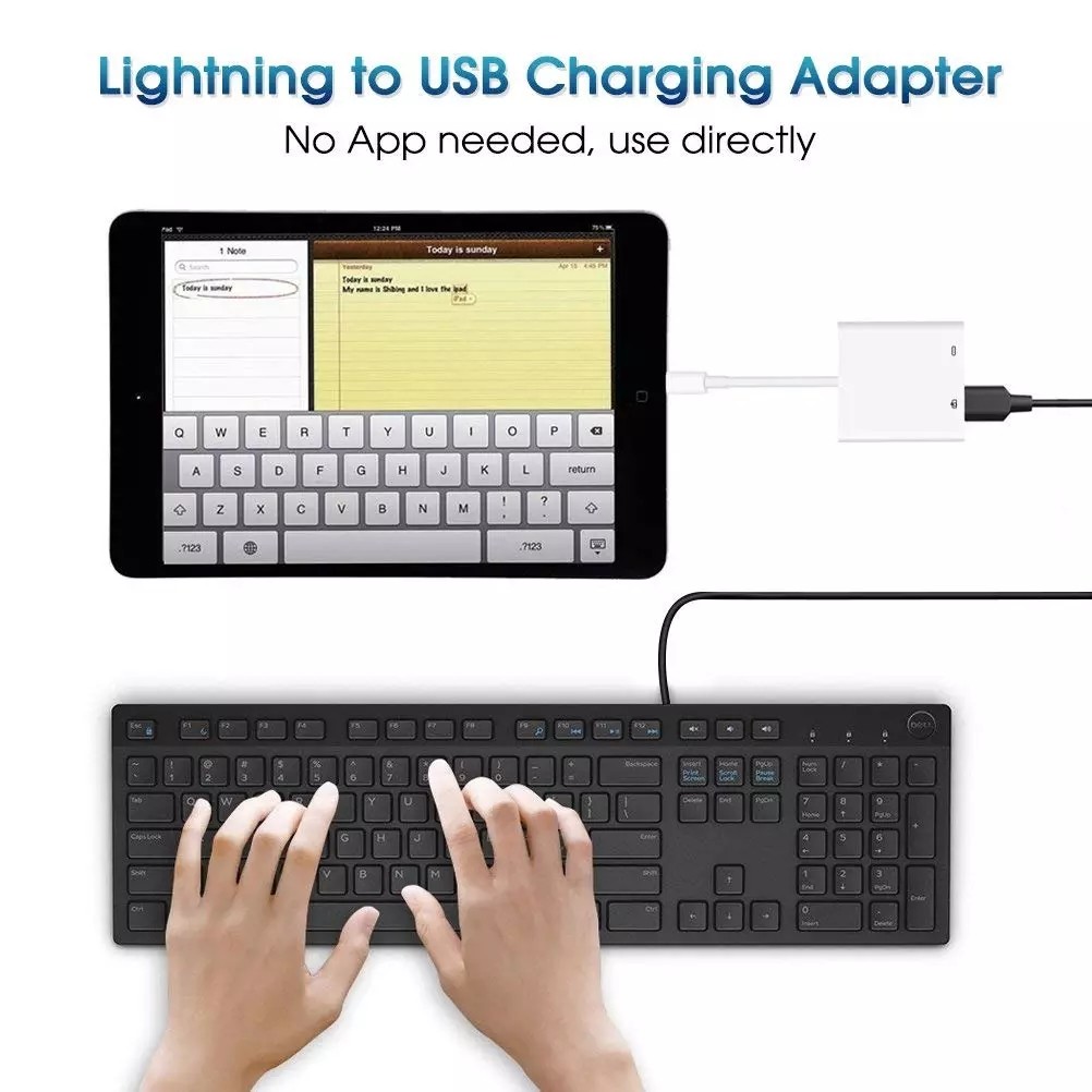 2 In 1 Apple Iphone Female Port Lightning Adapter Cable