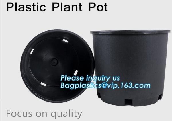 5 gallon Plastic Smart Ginger or Potato Planting Pots for home garden,PP potato grow pot planting bag,potato planter pot