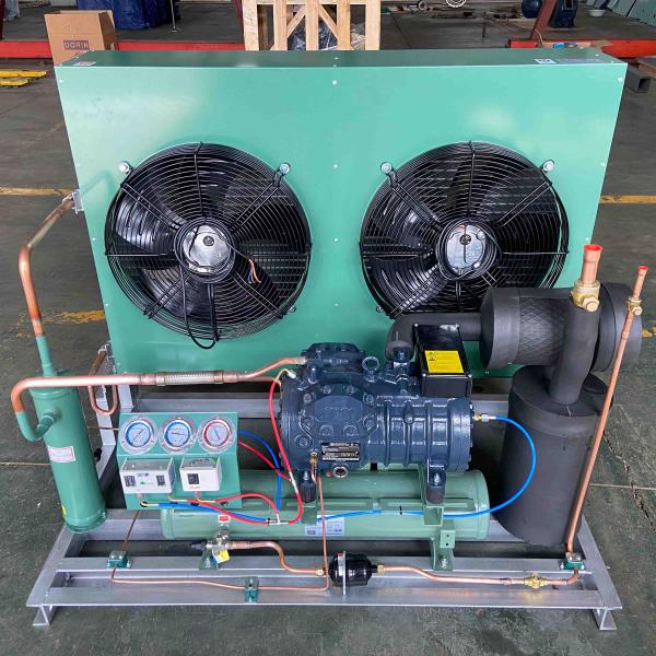 Customization Cold Room Walk In Freezer For Cooling System Refrigeration cooler