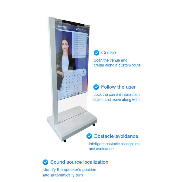 55 inch AI Digital OLED Transparent Display Kiosk