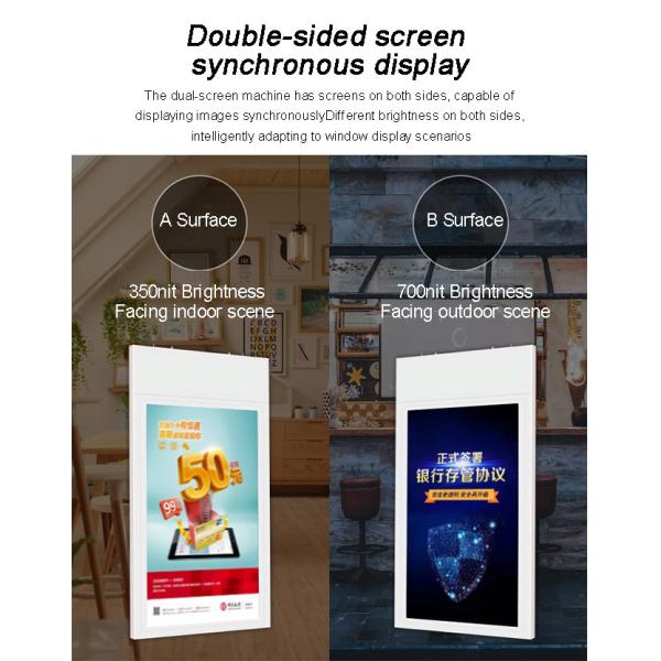 49 inch Hanging Wall Mounted Hd Screen Interactive Window Display Lcd Advertising Display for Restaurant Coffee Shop