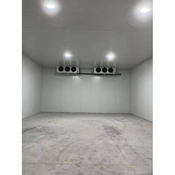 Customization Cold Room Walk In Freezer For Cooling System Refrigeration cooler