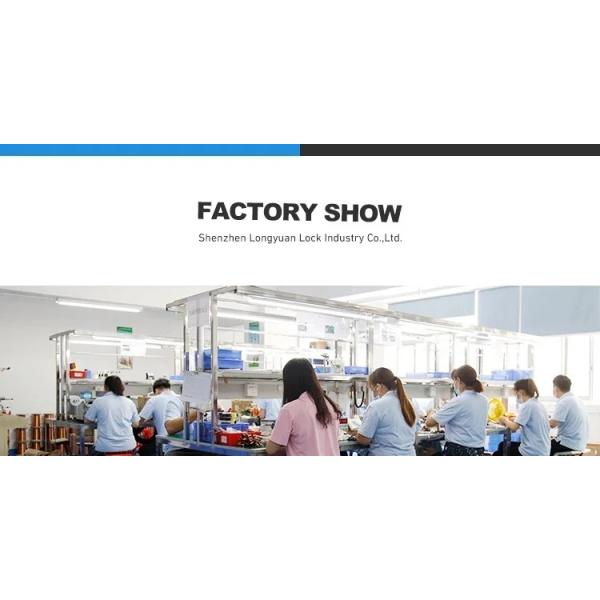 Smart lock for refrigerated vending machine factory solenoid lock for Racks Cabinets customized 5V to 24V