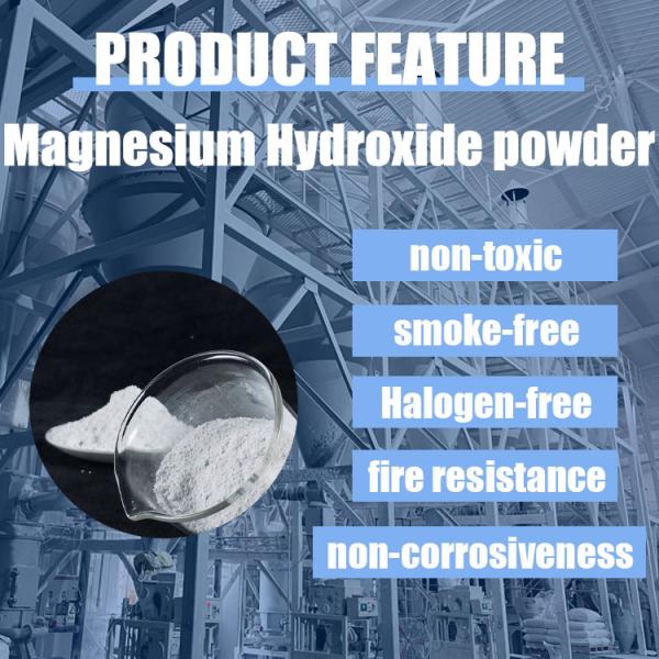 325-5000Mesh Silane Modification Whiteness High Magnesium Hydroxide for Flame Retardant Reach Certificate