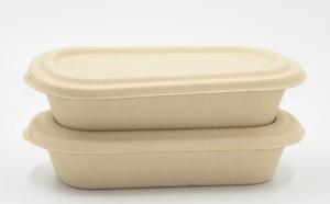 Quality 1000ml Biodegradable Straw pulp food container 2 compartments paper food tray with PP lid for sale