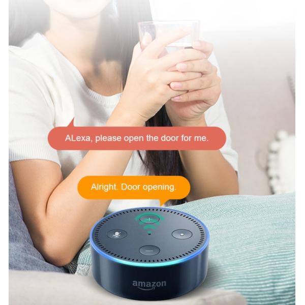 Smart TTlock FPC Fingerprint Door Lock Bluetooth With Reversible Handle