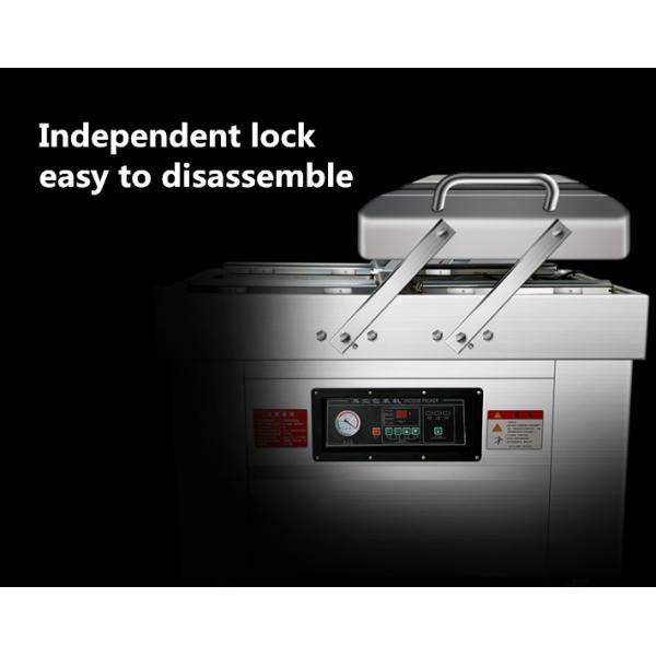 Electric Driven DZ-400 2SB Semi Automatic Fish Meat Vegetable Vacuum Packing Machine