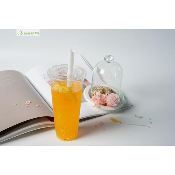 Clear 100% Compostable PLA Cups 24 Ounce 90mm Disposable