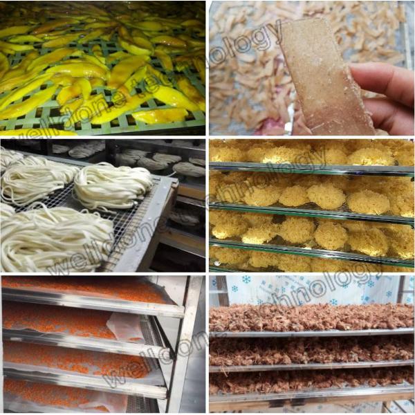 Fruit And Vegetable / Meat / Seafood Heat Pump Dryer With High Efficiency (industrial food dehydrator)
