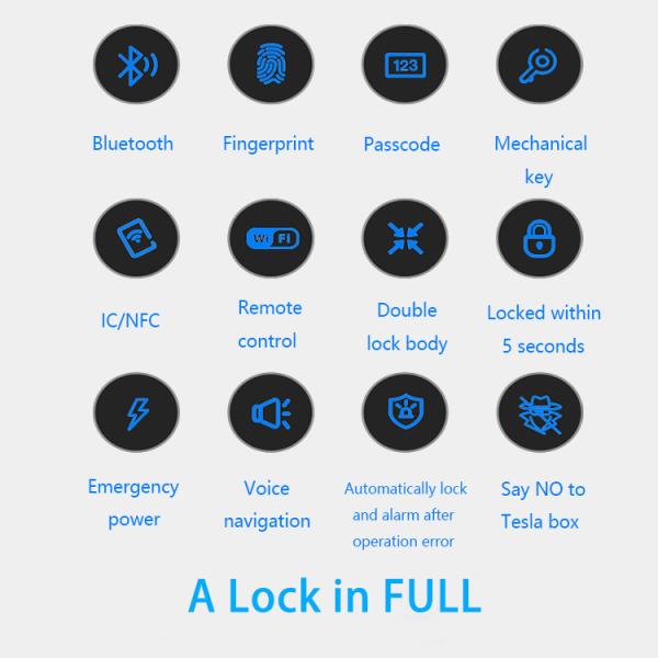 Tuya Electronic Smart Door Lock with Blue-tooth Network Cloud Data Storage Option