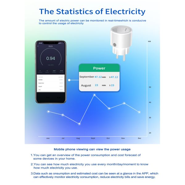 4400W RoHS Smart Wiring Devices EU WiFi Voice Activated Plug