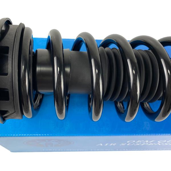 Tesla Model S Performance Front Coil Spring Shock