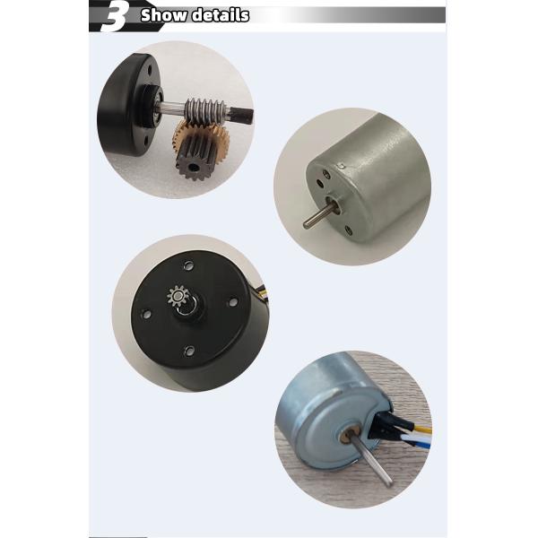 Customized High Torque Bldc Motor 24Mm For Electrical Appliance