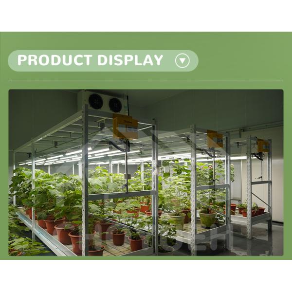 Multi-purpose Grow Racks Electrostatic Powder Coating Medium Duty Racking system