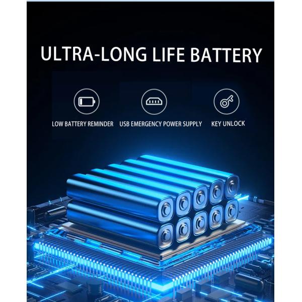 Type-C Charging Smart Door Lock Tuya App Remote Control with Fingerprint Camera