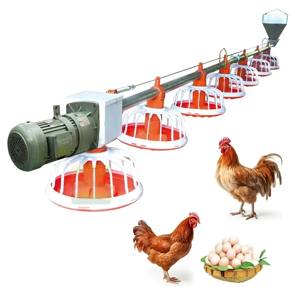 Easy Cleaning Smart Poultry Feeding And Drinking System For Chicken Broilers