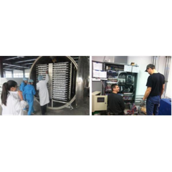 Steam Heating SUS316 GZLS Vacuum Drying Machine