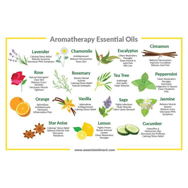 10L Water Oil Distiller for Plants Essential Oil Extraction of Ginger and Herbs