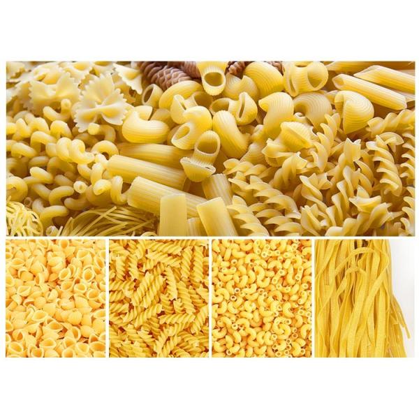 Industrial Vegetable Pasta Machine Spaghetti 2.2-11kw