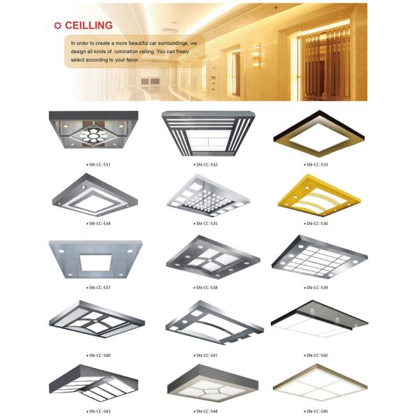 Stainless Steel Square Tube Frame Elevator Cabin Decoration Down Light