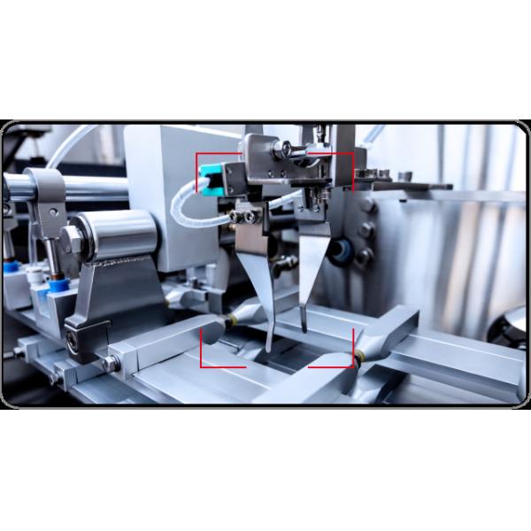 50pack Sub Horizontal Sachet Packing Machine For Granules Fully Automatic Detergent Powder Packing Machine