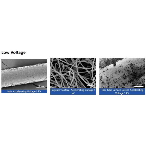 BSE EDS Tabletop Scanning Electron Microscope 1X-300000X 3nm Resolution