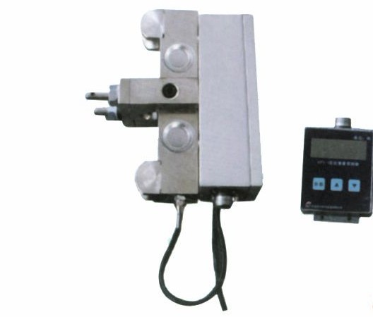 YT 10t BMH semi gantry crane