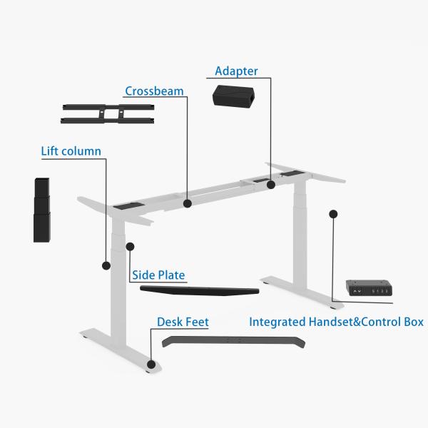 Modern Work Office Desk with Cable Management Uplift Standing Desk 355 Lbs Weight Capacity Modern Style