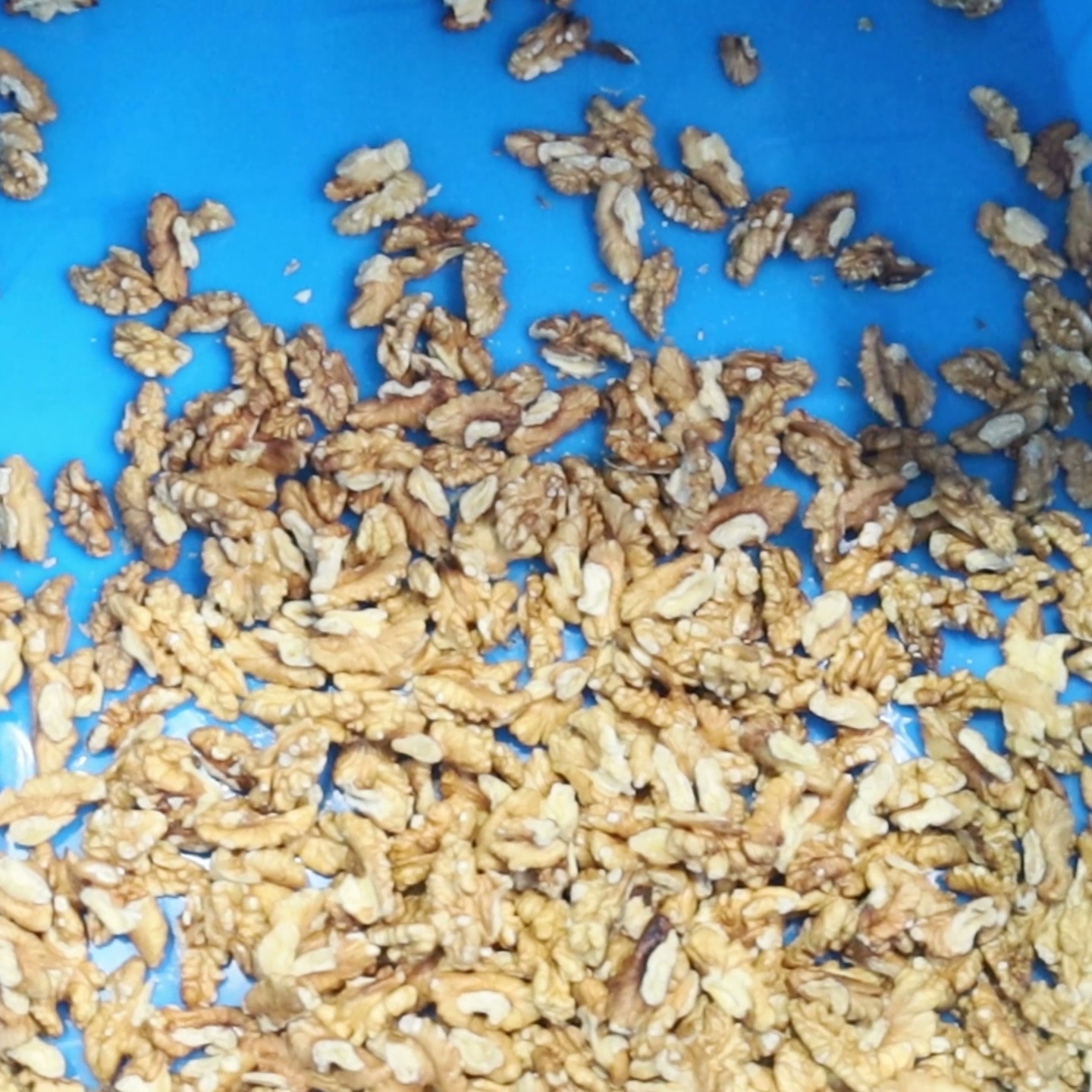 Quick walnut kernel sorting machine with 12 adaptive outlets and deep learning
