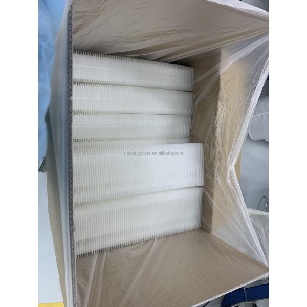 10 Years' Experience Customization Team for Blister Packaging in Various Materials